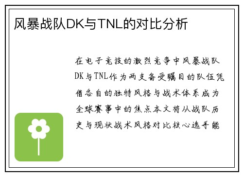 风暴战队DK与TNL的对比分析