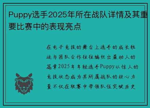 Puppy选手2025年所在战队详情及其重要比赛中的表现亮点